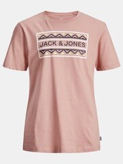 Футболка для мальчиков Jack & Jones JORTULUM TEE цена и информация | Рубашка для мальчиков | pigu.lt