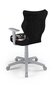Vaikiška biuro kėdė Entelo Duo ST30 5, įvairių spalvų/pilka kaina ir informacija | Biuro kėdės | pigu.lt