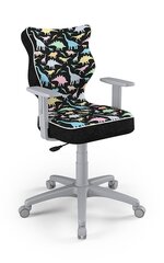 Детское офисное кресло Entelo Duo ST30 5, многоцветное/серое цена и информация | Офисные кресла | pigu.lt