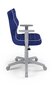 Vaikiška biuro kėdė Entelo Duo VS06 5, mėlyna/pilka kaina ir informacija | Biuro kėdės | pigu.lt