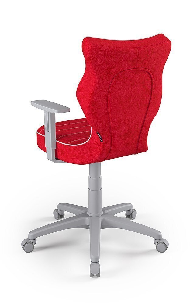 Vaikiška biuro kėdė Entelo Duo VS09 5, raudona/pilka цена и информация | Biuro kėdės | pigu.lt