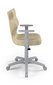 Vaikiška biuro kėdė Entelo Duo VS26 5, smėlio spalvos/pilka цена и информация | Biuro kėdės | pigu.lt