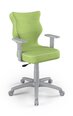 Biuro kėdė Entelo Duo VS05 6, žalia/pilka