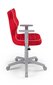Biuro kėdė Entelo Duo VS09 6, raudona/pilka kaina ir informacija | Biuro kėdės | pigu.lt