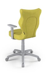 Офисное кресло Entelo Duo DC19 6, зеленое/серое цена и информация | Офисные кресла | pigu.lt