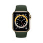 Apple Watch Series 6 40mm Gold Stainless Steel/Cyprus Green Sport Band цена и информация | Išmanieji laikrodžiai (smartwatch) | pigu.lt