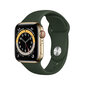 Apple Watch Series 6 40mm Gold Stainless Steel/Cyprus Green Sport Band цена и информация | Išmanieji laikrodžiai (smartwatch) | pigu.lt