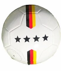 Futbolo kamuolys DFB, 5 dydis kaina ir informacija | Futbolo kamuoliai | pigu.lt
