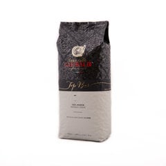 Kavos pupelės Gran Caffe Garibaldi - Top Bar, 1 kg kaina ir informacija | Kava, kakava | pigu.lt