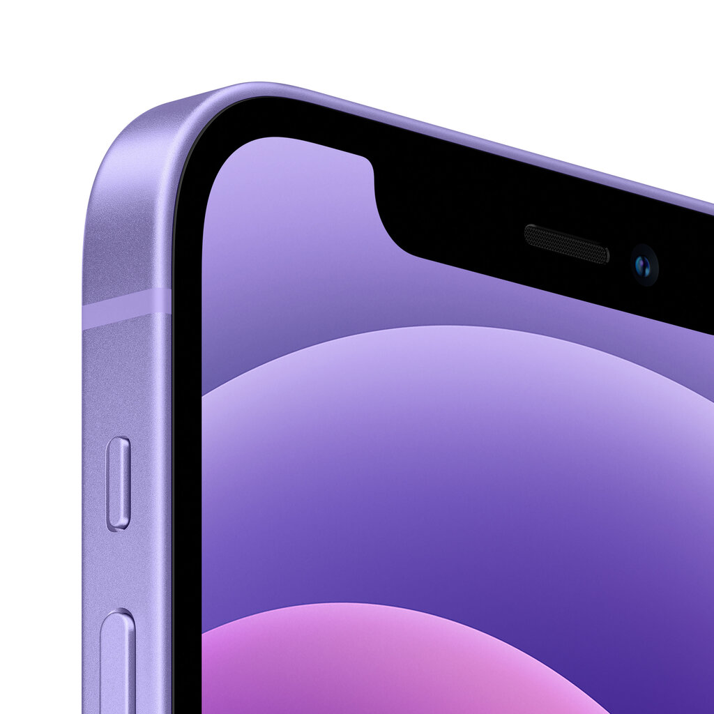 Apple iPhone 12 64GB Purple MJNM3ET/A цена и информация | Mobilieji telefonai | pigu.lt