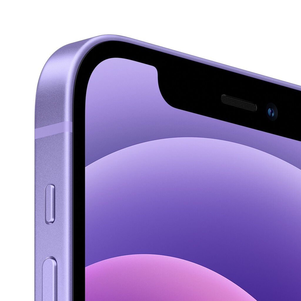 Apple iPhone 12 128GB Purple MJNP3ET/A цена и информация | Mobilieji telefonai | pigu.lt