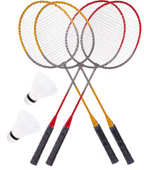 Badmintono ir tinklinio rinkinys Enero 10 in 1 kaina ir informacija | Badmintonas | pigu.lt