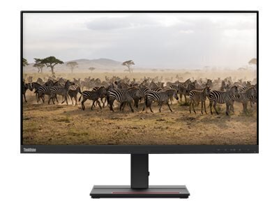 Lenovo 62AFKAT2EU kaina ir informacija | Monitoriai | pigu.lt