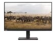 Lenovo 62AFKAT2EU kaina ir informacija | Monitoriai | pigu.lt