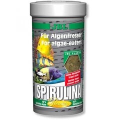 Maistas žuvims, augalinis JBL Spirulina цена и информация | Аквариумы и оборудование | pigu.lt