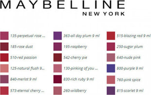 Lūpų blizgis Maybelline Superstay 24h, 542 Cherry Pie kaina ir informacija | Lūpų dažai, blizgiai, balzamai, vazelinai | pigu.lt