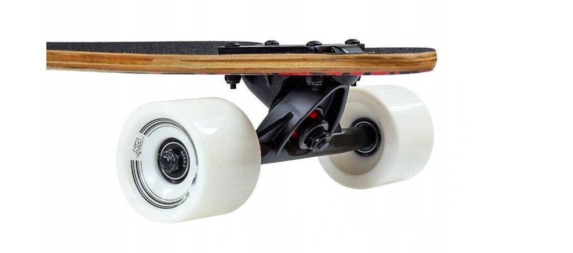 Riedlentė Longboard Spider, 104cm kaina ir informacija | Riedlentės | pigu.lt