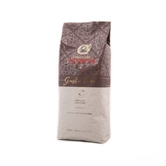 Kavos pupelės Gran Caffe Garibaldi - Gusto Oro, 1 kg kaina ir informacija | Kava, kakava | pigu.lt