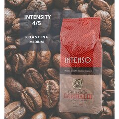 Kavos pupelės Gran Caffe Garibaldi - Intenso, 1 kg kaina ir informacija | Kava, kakava | pigu.lt