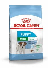 Royal Canin для щенков мелких пород Mini Junior, 2 kg цена и информация |  Сухой корм для собак | pigu.lt