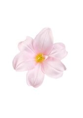 Dirbtinė gėlė lelijos žiedas, 20 vnt. kaina ir informacija | Dirbtinės gėlės | pigu.lt