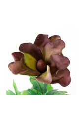Искусственный цветок магнолии цена и информация | Искусственные цветы | pigu.lt