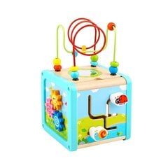 Medinis kubas su labirintu 18 mėn.+ Tooky Toy kaina ir informacija | Žaislai kūdikiams | pigu.lt