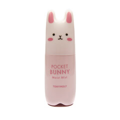 Dulksna veidui Tonymoly Pocket Bunny, 60 ml цена и информация | Средства для очищения лица | pigu.lt