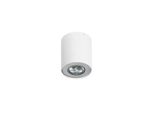 Потолочный светильник AZzardo Neos AZ0606 цена и информация | Потолочные светильники | pigu.lt