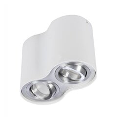 Потолочный светильник AZzardo Bross AZ0784 цена и информация | Потолочные светильники | pigu.lt