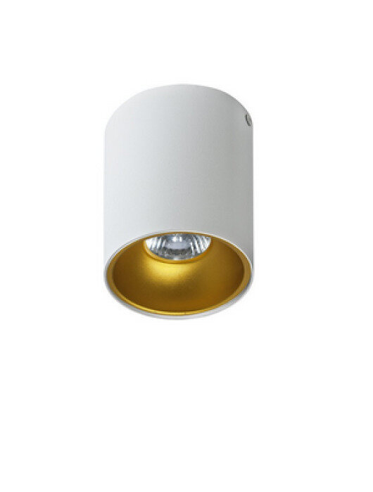 Lubinis šviestuvas AZzardo Remo AZ0819 kaina ir informacija | Lubiniai šviestuvai | pigu.lt