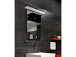 Sieninis vonios šviestuvas AZzardo Rado AZ2080 цена и информация | Sieniniai šviestuvai | pigu.lt