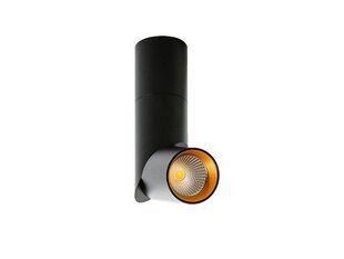 Потолочный светильник Azzardo Santos AZ2416 цена и информация | Потолочные светильники | pigu.lt