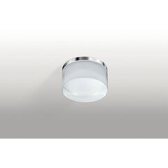 Потолочный светильник для ванной комнаты AZzardo Linz AZ2775 цена и информация | Потолочные светильники | pigu.lt