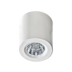 Потолочный светильник AZzardo Nano r AZ2784 цена и информация | Потолочные светильники | pigu.lt