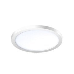 Встраиваемый светильник Azzardo Slim AZ2839 цена и информация | Монтируемые светильники, светодиодные панели | pigu.lt
