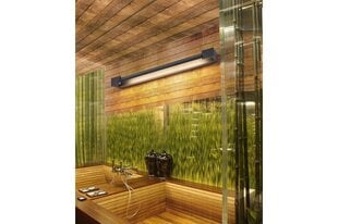 Sieninis vonios šviestuvas AZzardo Dali AZ2894 kaina ir informacija | Azzardo Baldai ir namų interjeras | pigu.lt