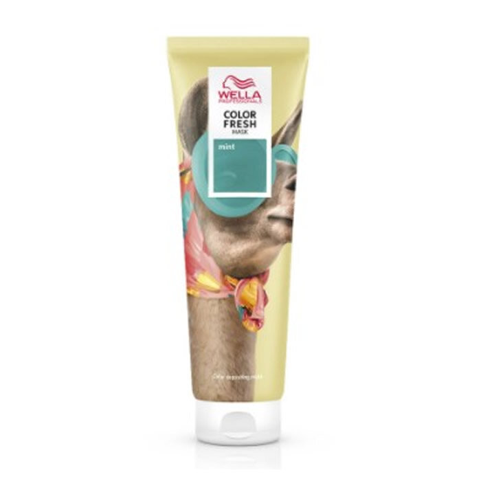 Kaukė suteikianti atspalvį plaukams Wella Color Fresh Mask Mint, 150 ml kaina ir informacija | Plaukų dažai | pigu.lt