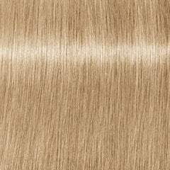 Šviesinamasis kremas BlondMe Blonde Lifting Cream Ice Irise, 60 ml kaina ir informacija | Plaukų dažai | pigu.lt