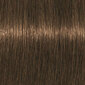 Plaukų dažai Schwarzkopf Igora Royal Absolutes 7.140, 60 ml kaina ir informacija | Plaukų dažai | pigu.lt