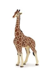Фигурка Papo жирафа цена и информация | Развивающие игрушки | pigu.lt