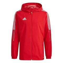 Мужской джемпер Adidas Tiro 21 Windbreaker M, красный цена и информация | Мужские термобрюки, темно-синие, SMA61007 | pigu.lt