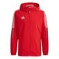Džemperis vyrams Adidas Tiro 21 Windbreaker M, raudonas kaina ir informacija | Sportinė apranga vyrams | pigu.lt