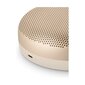 Bang & Olufsen Beosound A1 2nd Gen Gold Tone kaina ir informacija | Garso kolonėlės | pigu.lt