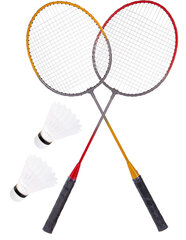 Badmintono ir tinklinio rinkinys Enero 6 in 1 kaina ir informacija | Badmintonas | pigu.lt