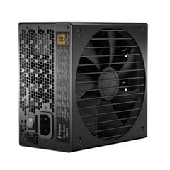 Fractal Design FD-P-IA2G-550-EU kaina ir informacija | Maitinimo šaltiniai (PSU) | pigu.lt