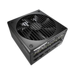 Fractal Design FD-P-IA2G-750-EU цена и информация | Блоки питания (PSU) | pigu.lt