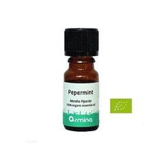 Органическое эфирное масло перечной мяты (Mentha Piperita) 5 ml цена и информация | Эфирные, косметические масла, гидролаты | pigu.lt