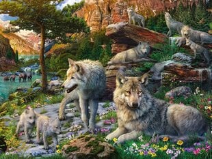 Dėlionė Ravensburger Vilkai, 1500 d., 16598 kaina ir informacija | Dėlionės (puzzle) | pigu.lt