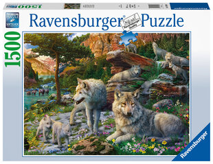 Головоломка Ravensburger Волки, 1500 д., 16598 цена и информация | Пазлы | pigu.lt